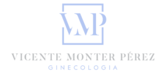 Vicente Monter